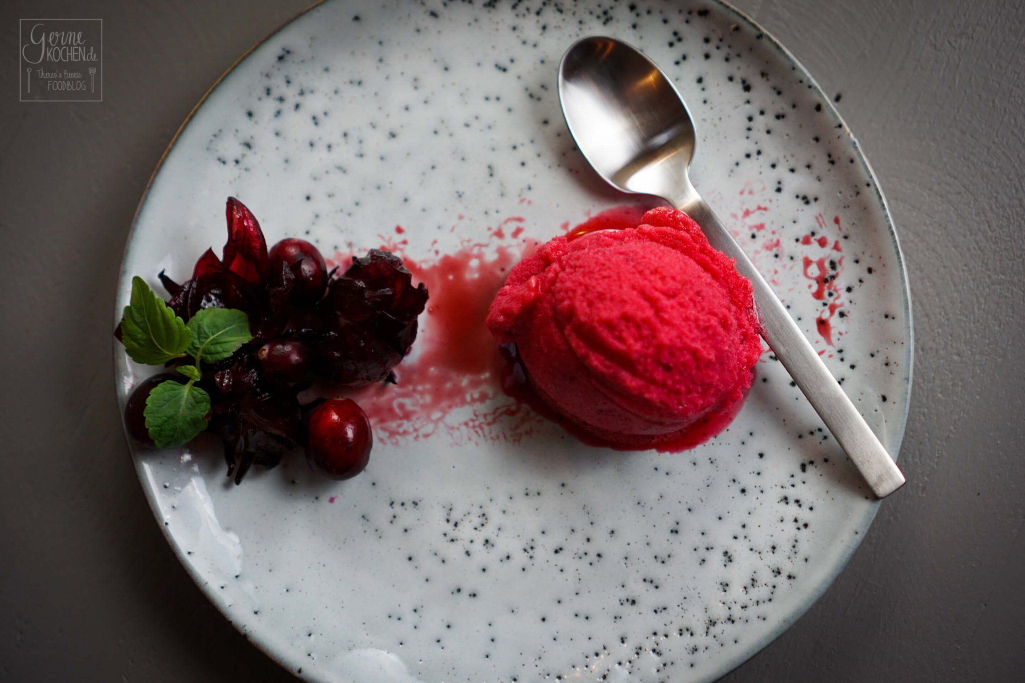 Rezept: Hibiskus-Cranberry-Sorbet - gernekochen.de