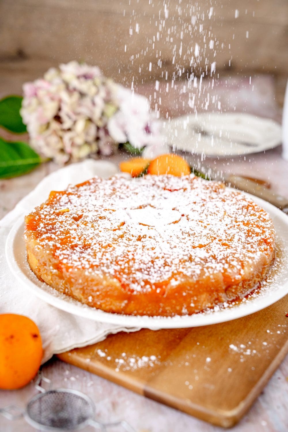 Aprikosenkuchen