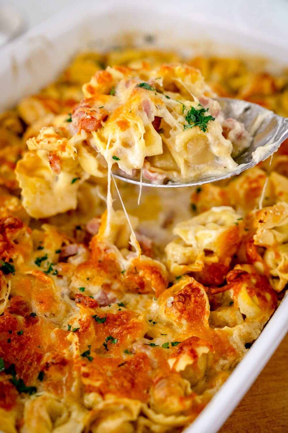 Ofen Tortellini alla Panna