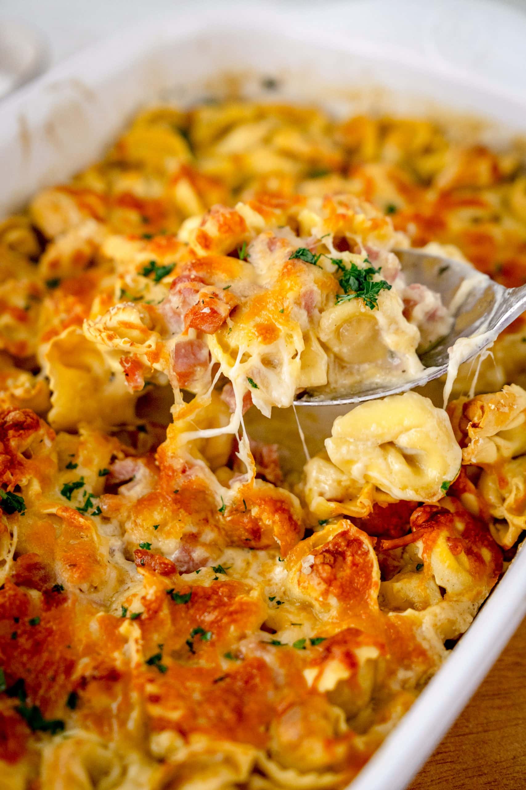 Ofen Tortellini alla Panna