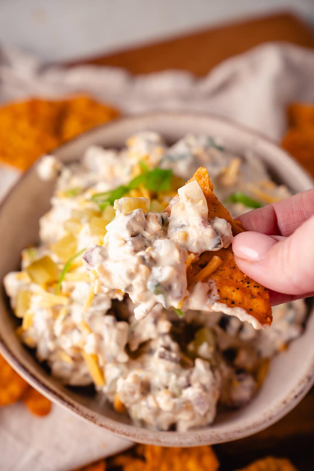 Pickle Dip sour cucumber dip